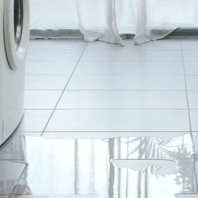 Appliance Leak Cleanup in City of Alexandria, VA