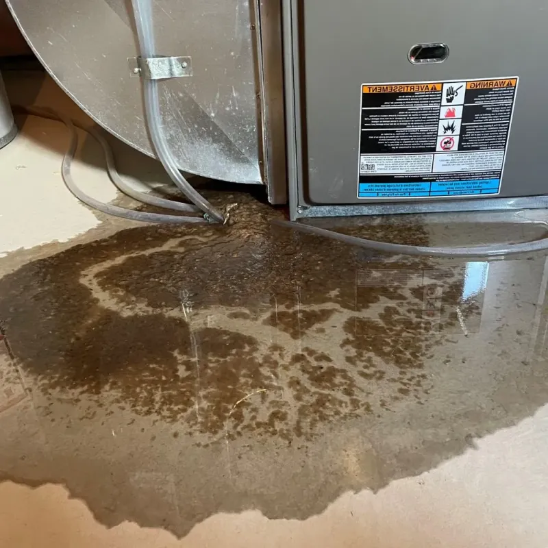 Pipe Burst and Leak Restoration in City of Alexandria, VA